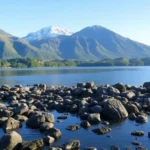 5 Things to See and Do in Kaikoura for First-Time Visitors
