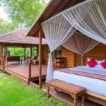 Where to Stay in Tissa: Yala Eco Tree House Guide