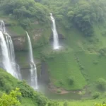 Things to See and Do in Haputale: Tea, Waterfalls and Snakes