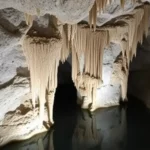 Postojna Caves: Discover Slovenia's Underground Wonders
