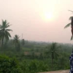 Misadventures in India with the silly monkey