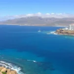 10 Things to Do and See in Icod de los Vinos Tenerife