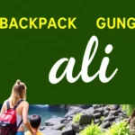 Backpacking Guide to Bali Travel