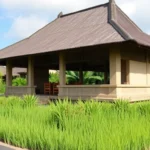 15 Best Things to See and Do in Canggu