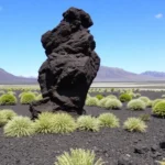 10 fascinating facts about Lanzarote you may not know