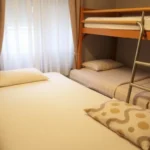 bedbugs in hostels what you need to know