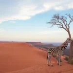 100 Things to See and Do in Africa Part 1