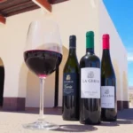La Geria wine route and wineries in Lanzarote