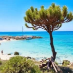 Best Beaches in Sardinia