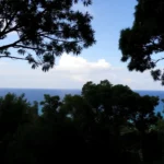 East Coast Australia Road Trip Stage 4: Magnetic Island to Cairns