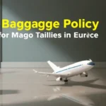 Baggage Policy of Major Airlines in Europe