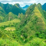 Things to See and Do in Viñales, Cuba's Rural Gem