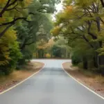 21-Day Deep South Road Trip Itinerary Guide