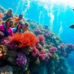Diving the Great Barrier Reef: A Comprehensive Guide