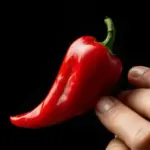 Eating the hottest pepper in the world